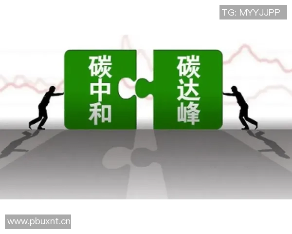 全球气候变化加剧引发极端天气频发,各国应如何应对挑战及推动绿色发展策略